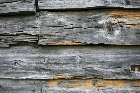 Download Wood Grain Texture Background Wallpaper - Premium Bundle